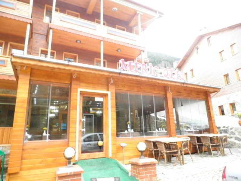 Meric Hotel
